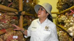 DPR RI Desak Swasembada Bawang Putih, Impor Capai 95 Persen