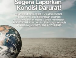 Waspada!, Super El Nino Ancam Indonesia, Picu Kekeringan