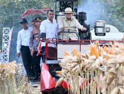 Prabowo Pimpin Panen Raya Jagung Nasional di Tuban