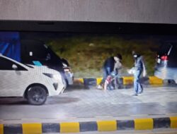 Polres Simalungun ringkus tiga pelaku perdagangan satwa dilindungi di gerbang tol