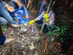 Geger penemuan kerangka manusia di semak belukar Nias