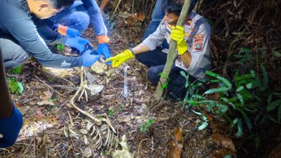 Geger penemuan kerangka manusia di semak belukar Nias