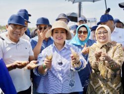 Titiek Soeharto Tinjau Budidaya Udang Modern BUBK Kebumen, Apresiasi Transformasi Lahan Produktif