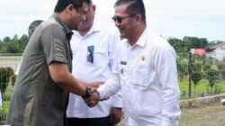 Bupati Nias Selatan sambut Kedatangan Gubernur Sumatera Utara di Bandara Binaka