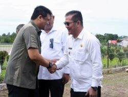 Bupati Nias Selatan sambut Kedatangan Gubernur Sumatera Utara di Bandara Binaka