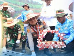 Kapolda Aceh Tanam Bawang Putih Serentak, Dorong Swasembada Pangan dan Ekonomi Rakyat