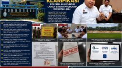Ini Klarifikasi, Kepala DPMPTSP Deli Serdang Soal Alih Fungsi Lahan Sawah Produktif di Pantai Labu