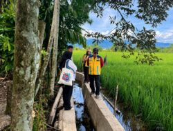 Musim Tanam Tiba, Nagan Raya Aceh Manfaatkan TKD untuk Rehabilitasi Sawah Terdampak