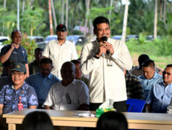 Gubernur Sumut Bobby Nasution Siapkan Rumah Produksi Kelapa Rp 2 miliar di Nias Utara
