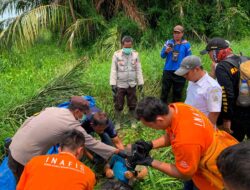 Karyawan Kebun di Tapanuli Tengah Meninggal Dunia Saat Menyeberangi Sungai