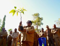 Dukung Gerakan Indonesia ASRI, Wamendagri Ribka Haluk Ajak Pemda dan Masyarakat NTT Tanam Pohon